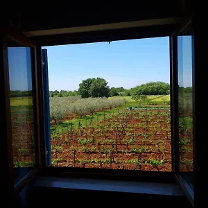  Apartament And Hacienda Stelio